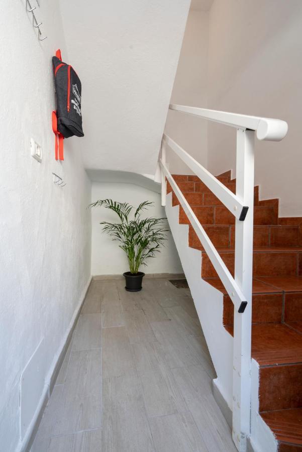 Spacious House With Huge Terrace Facing The Sea Bocacangrejo Eksteriør bilde